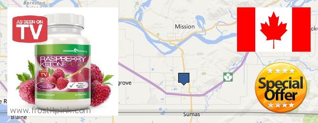 Où Acheter Raspberry Ketones en ligne Abbotsford, Canada