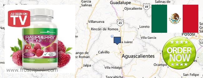 Dónde comprar Raspberry Ketones en linea Aguascalientes, Mexico