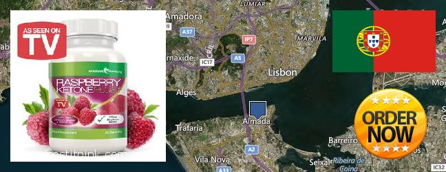 Onde Comprar Raspberry Ketones on-line Almada, Portugal