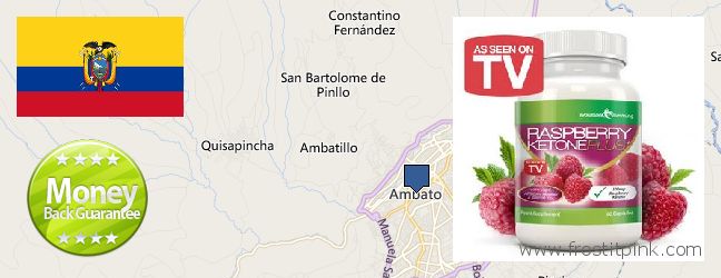 Dónde comprar Raspberry Ketones en linea Ambato, Ecuador