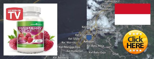 Where Can You Buy Raspberry Ketones online Ambon, Indonesia