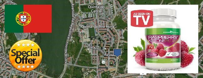 Onde Comprar Raspberry Ketones on-line Arrentela, Portugal