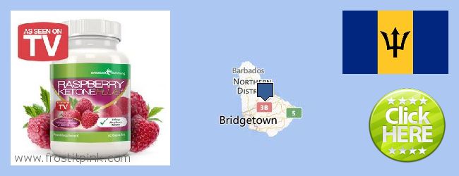 Where to Purchase Raspberry Ketones online Barbados