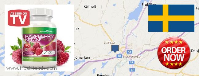 Jälleenmyyjät Raspberry Ketones verkossa Boras, Sweden