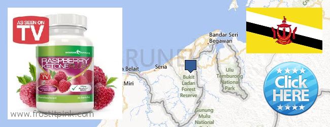 Dove acquistare Raspberry Ketones in linea Brunei