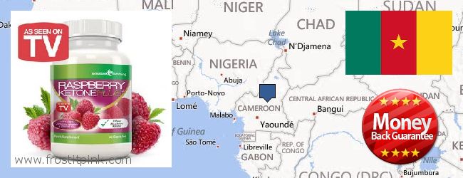 Nereden Alınır Raspberry Ketones çevrimiçi Cameroon