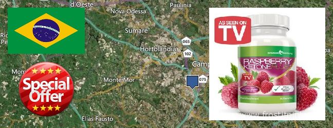 Dónde comprar Raspberry Ketones en linea Campinas, Brazil