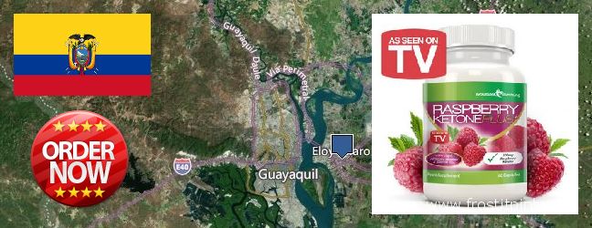 Where to Buy Raspberry Ketones online Eloy Alfaro, Ecuador
