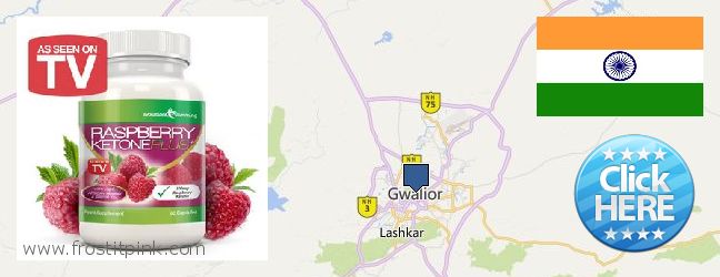 Purchase Raspberry Ketones online Gwalior, India