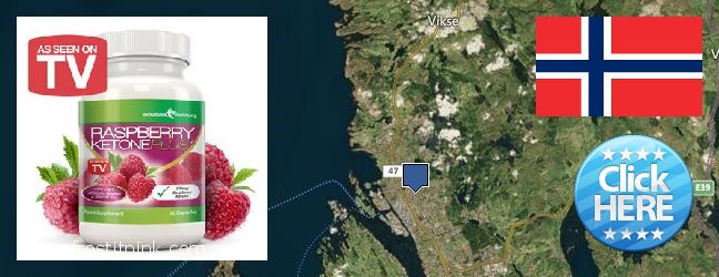 Jälleenmyyjät Raspberry Ketones verkossa Haugesund, Norway