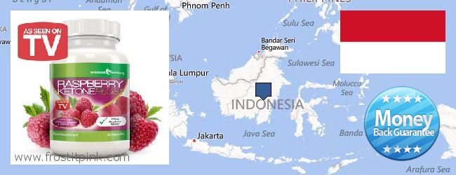 Onde Comprar Raspberry Ketones on-line Indonesia