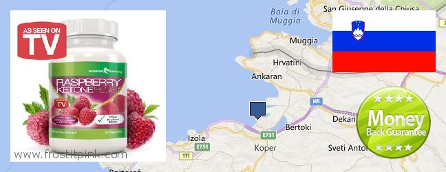 Dove acquistare Raspberry Ketones in linea Koper, Slovenia