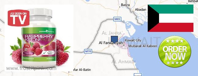 Nereden Alınır Raspberry Ketones çevrimiçi Kuwait