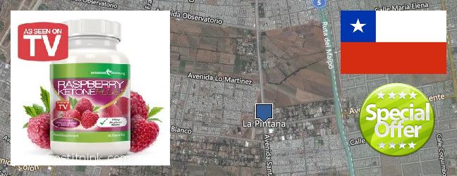 Where to Purchase Raspberry Ketones online La Pintana, Chile