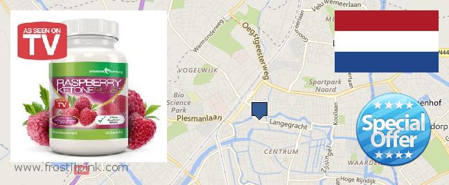 Waar te koop Raspberry Ketones online Leiden, Netherlands