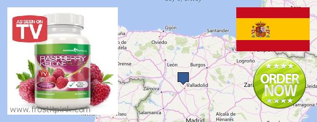 Dónde comprar Raspberry Ketones en linea Leon, Spain