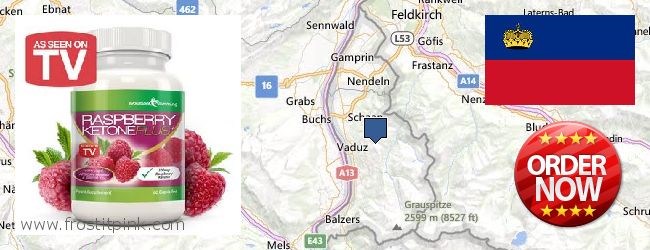 Jälleenmyyjät Raspberry Ketones verkossa Liechtenstein