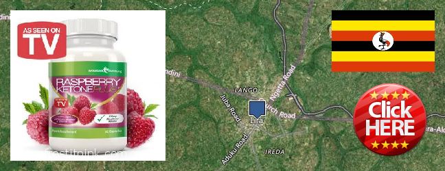 Where to Buy Raspberry Ketones online Lira, Uganda