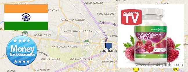 Where to Buy Raspberry Ketones online Ludhiana, India