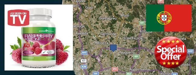 Where to Buy Raspberry Ketones online Maia, Portugal