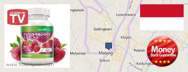 Purchase Raspberry Ketones online Malang, Indonesia