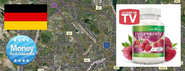 Wo kaufen Raspberry Ketones online Nippes, Germany