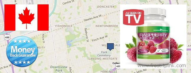 Où Acheter Raspberry Ketones en ligne North York, Canada