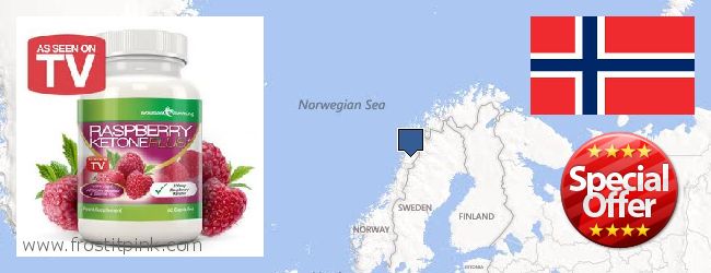 Jälleenmyyjät Raspberry Ketones verkossa Norway