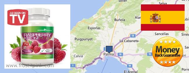 Dónde comprar Raspberry Ketones en linea Palma, Spain