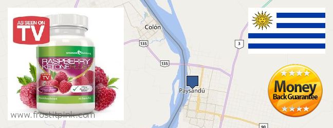 Dónde comprar Raspberry Ketones en linea Paysandu, Uruguay