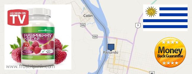 Dónde comprar Raspberry Ketones en linea Paysandu, Uruguay