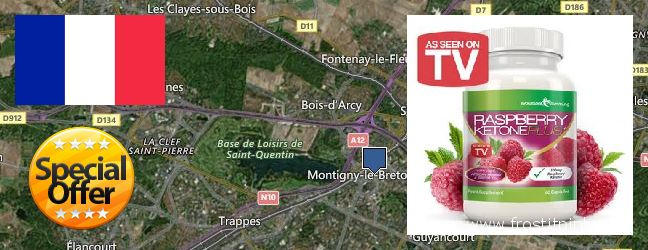 Où Acheter Raspberry Ketones en ligne Saint-Quentin-en-Yvelines, France