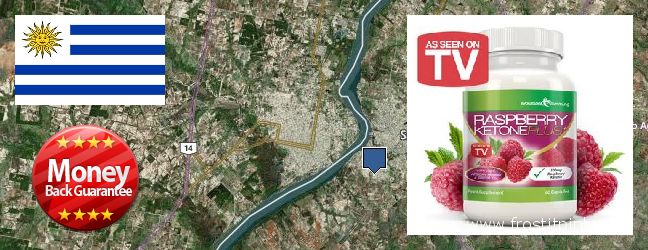 Best Place to Buy Raspberry Ketones online Salto, Uruguay