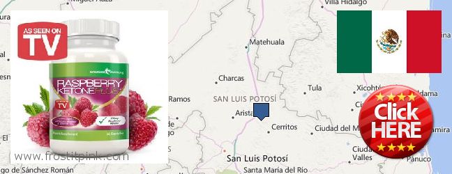 Purchase Raspberry Ketones online San Luis Potosi, Mexico