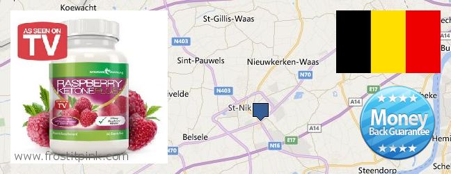 Wo kaufen Raspberry Ketones online Sint-Niklaas, Belgium