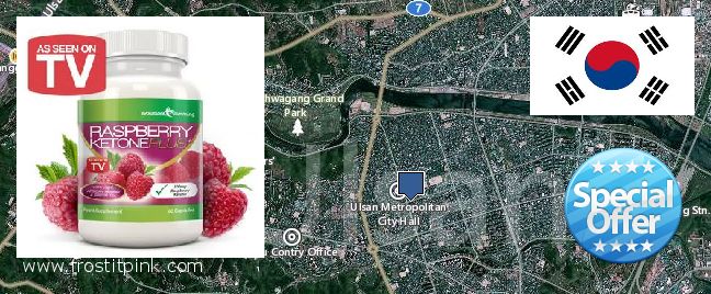 Where to Buy Raspberry Ketones online Ulsan, South Korea
