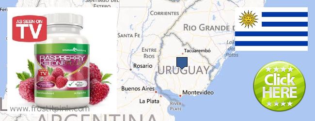 Buy Raspberry Ketones online Uruguay