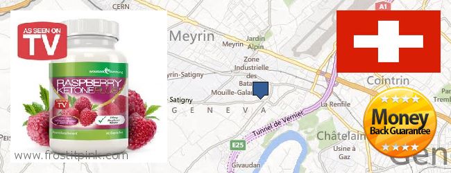 Où Acheter Raspberry Ketones en ligne Vernier, Switzerland