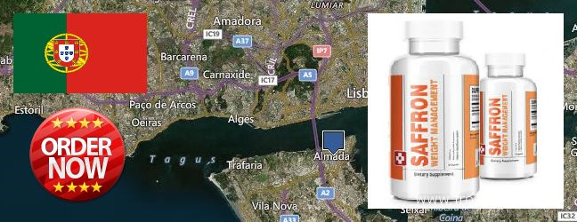 Where to Buy Saffron Extract online Almada, Portugal