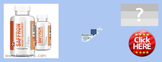 Where to Buy Saffron Extract online Bermuda