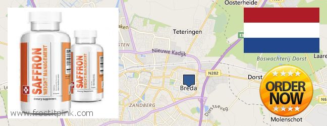 Waar te koop Saffron Extract online Breda, Netherlands