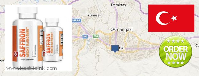 Buy Saffron Extract online Bursa, Turkey