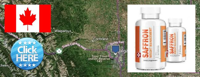 Où Acheter Saffron Extract en ligne Calgary, Canada