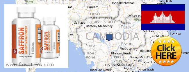 Purchase Saffron Extract online Cambodia Buy Saffron Extract online Cambodia