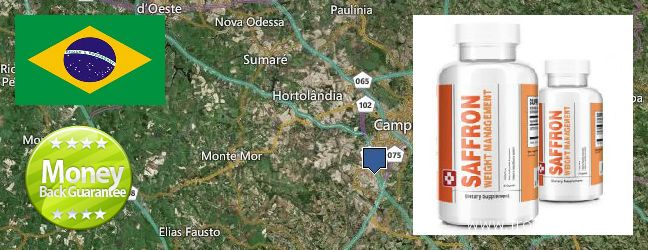 Wo kaufen Saffron Extract online Campinas, Brazil