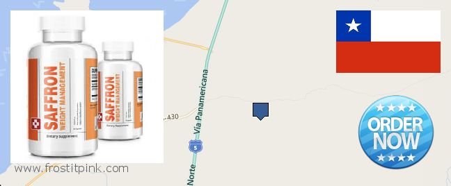 Dónde comprar Saffron Extract en linea Coquimbo, Chile