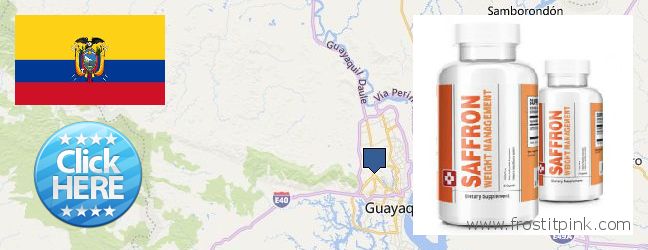 Dónde comprar Saffron Extract en linea Guayaquil, Ecuador
