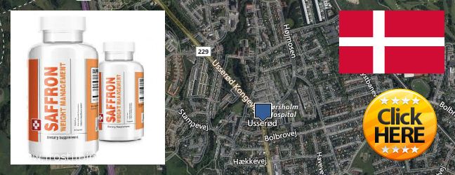 Best Place to Buy Saffron Extract online Horsholm, Denmark