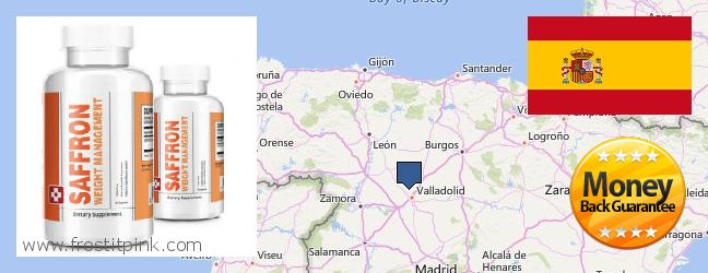 Dónde comprar Saffron Extract en linea Leon, Spain