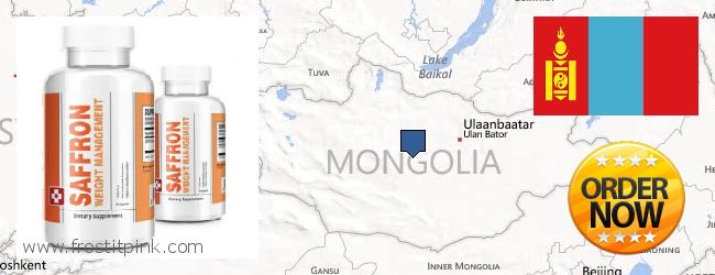 Buy Saffron Extract online Mongolia